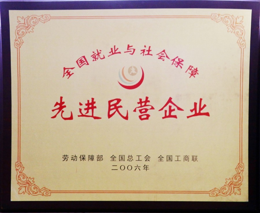 全国就业与社会保障先进民营企业.jpg