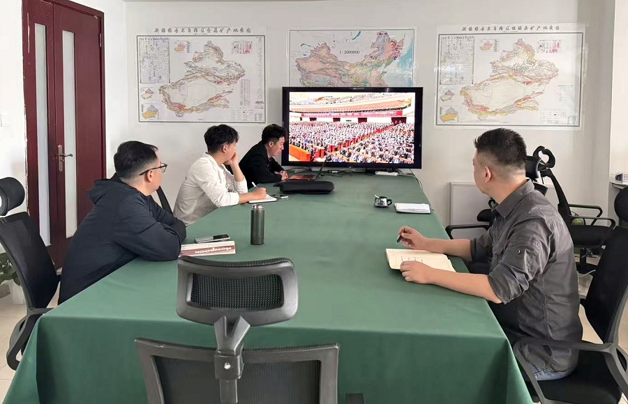 矿业公司 (2)